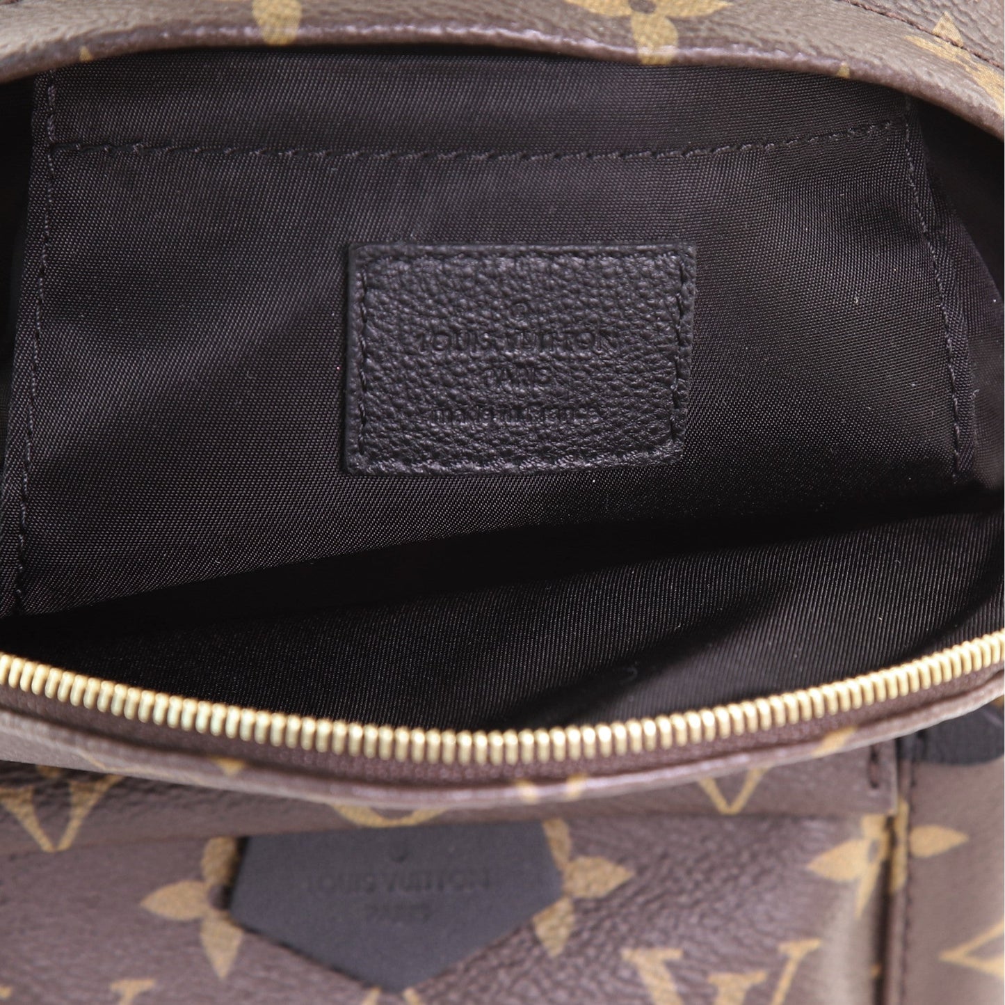 Palm Springs Backpack Monogram Canvas Mini