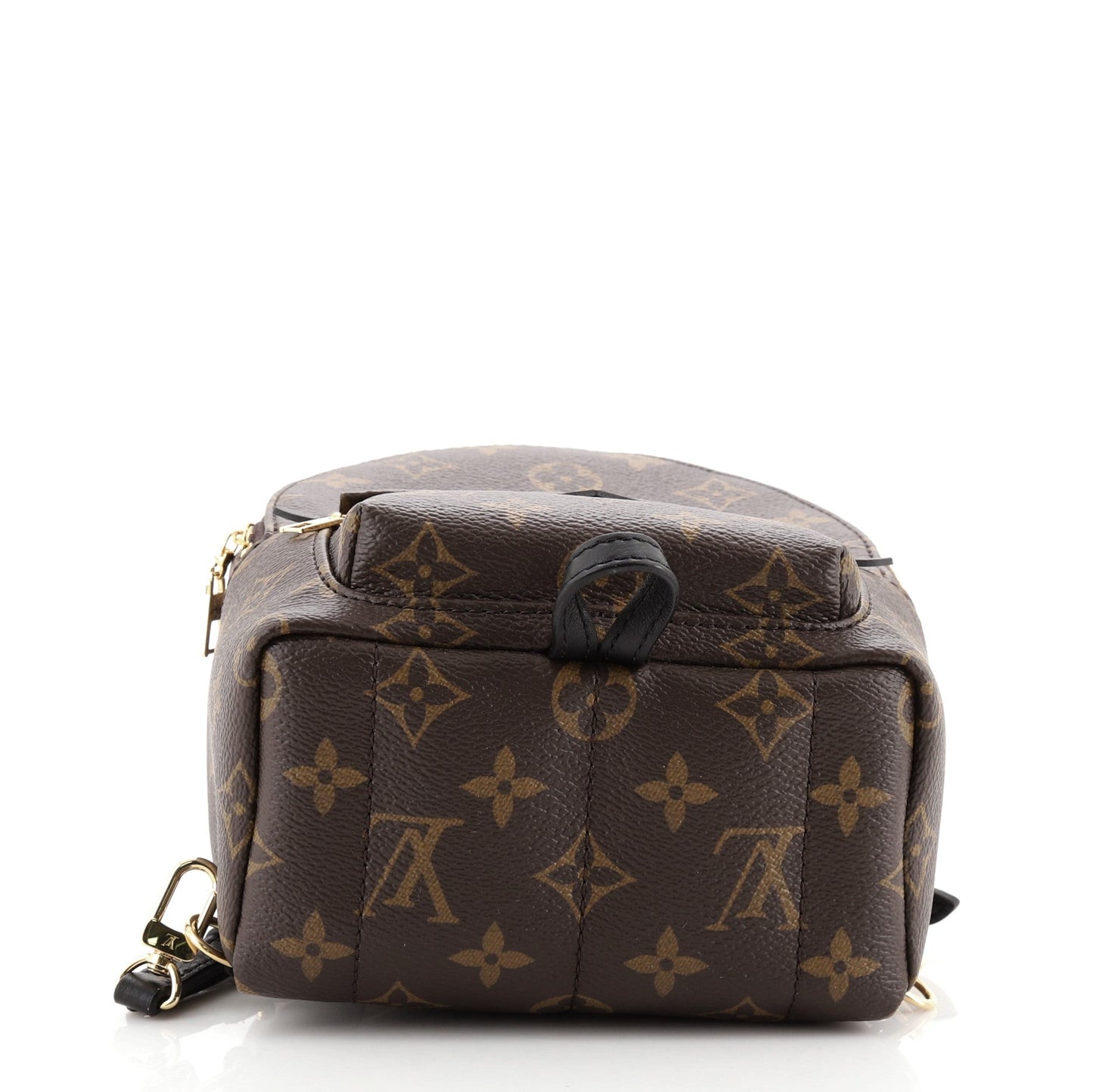 Palm Springs Backpack Monogram Canvas Mini