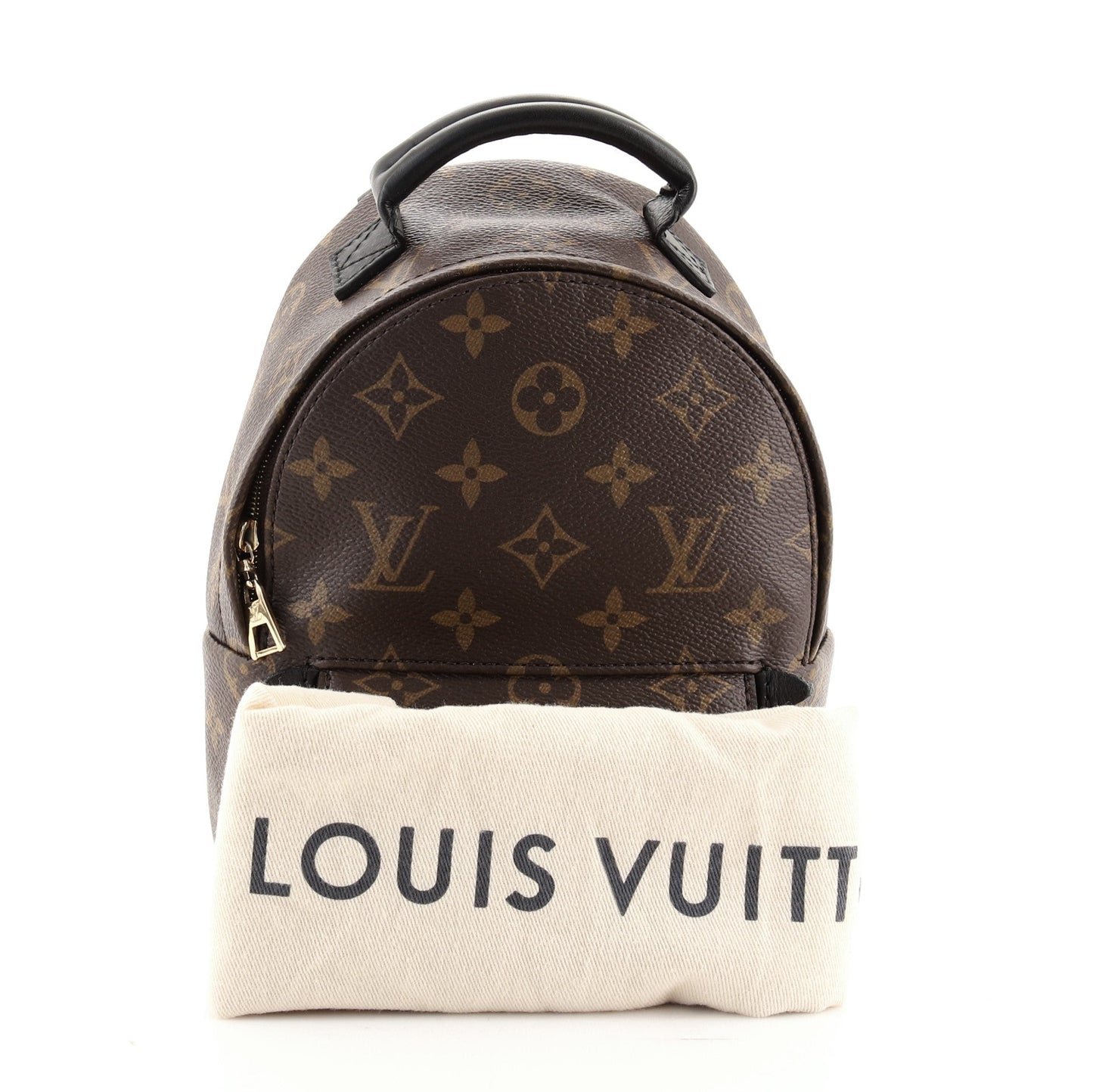 Palm Springs Backpack Monogram Canvas Mini