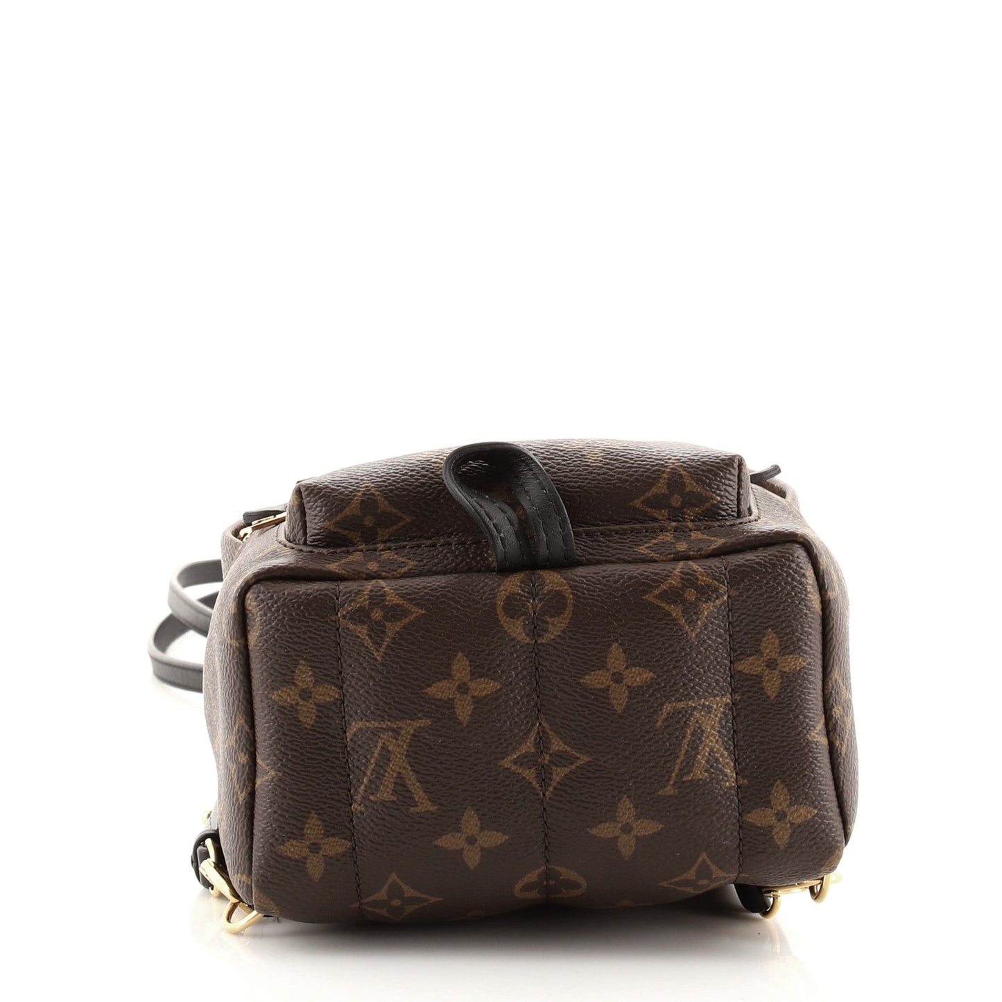 Palm Springs Backpack Monogram Canvas Mini