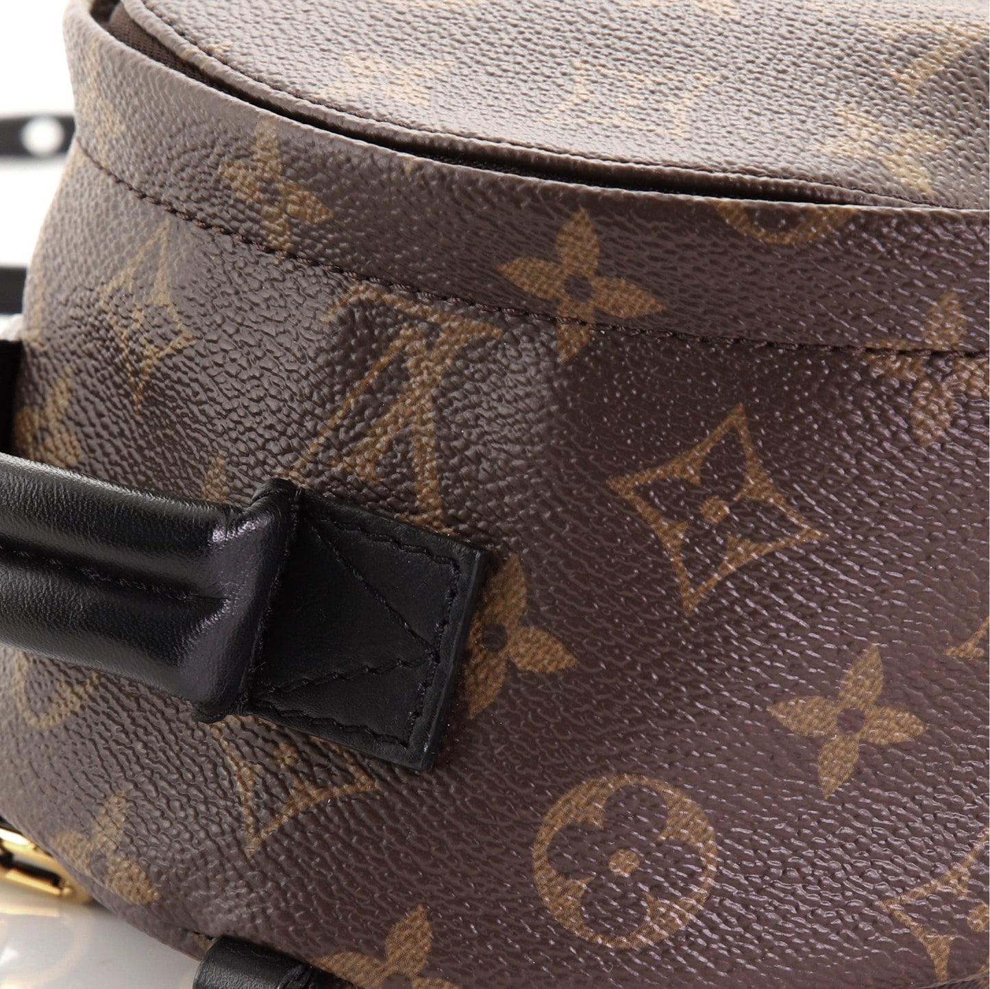 Palm Springs Backpack Monogram Canvas Mini