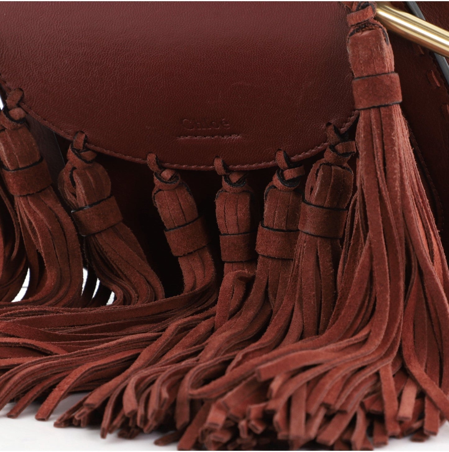 Fringe Tassel Hudson Bag Leather Mini