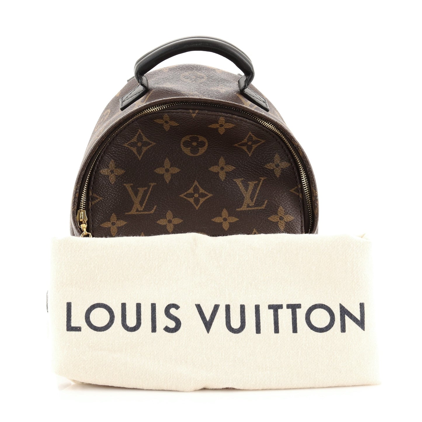 Palm Springs Backpack Monogram Canvas Mini