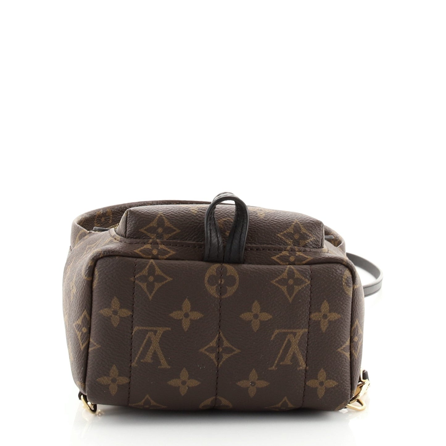 Palm Springs Backpack Monogram Canvas Mini