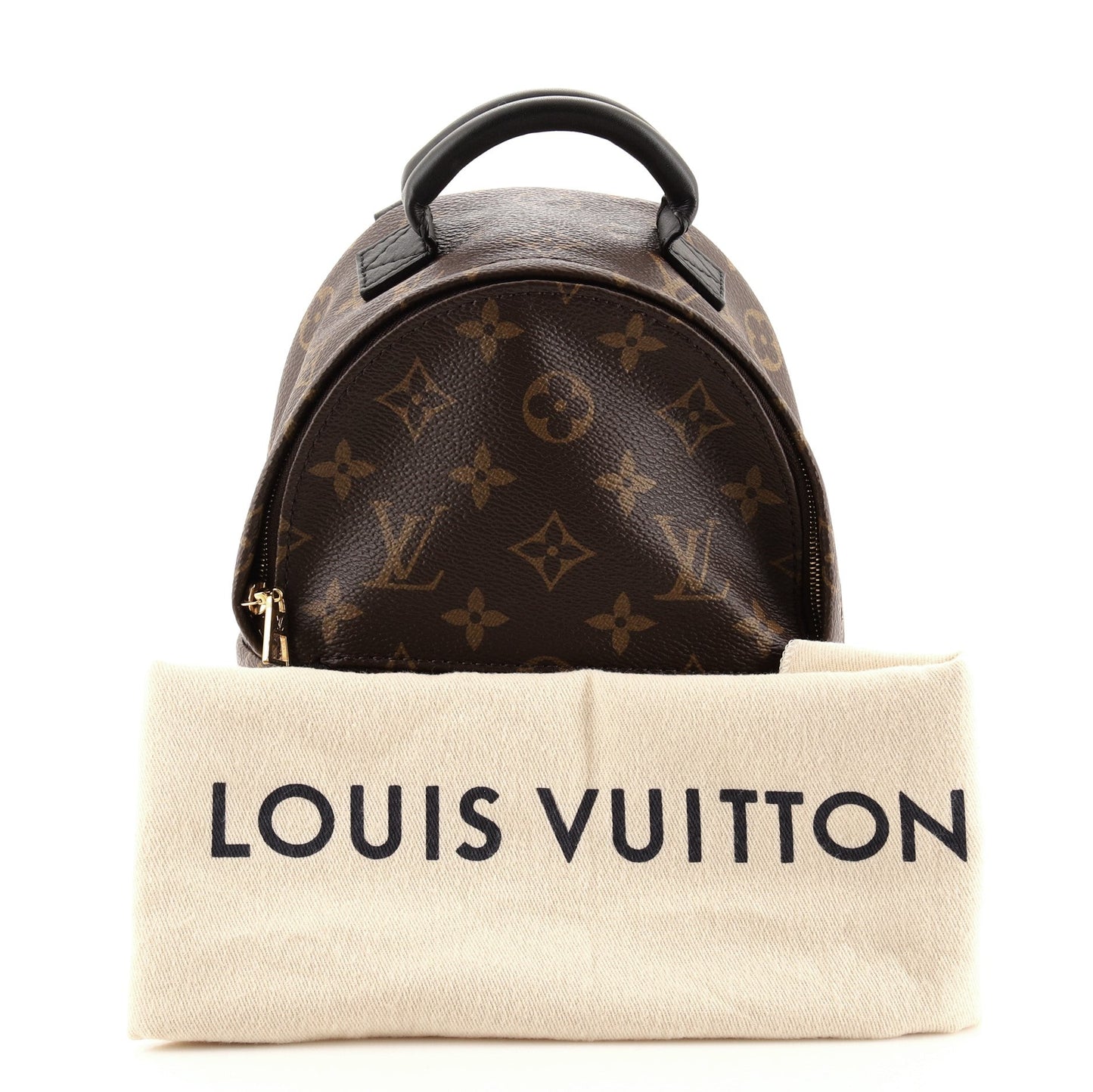 Palm Springs Backpack Monogram Canvas Mini