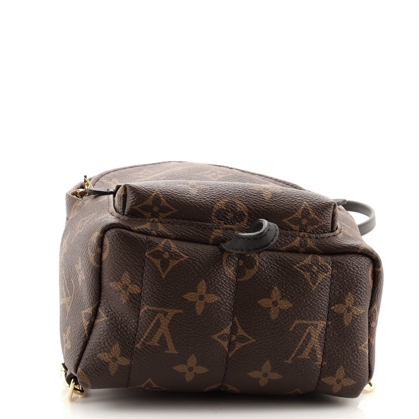Palm Springs Backpack Monogram Canvas Mini