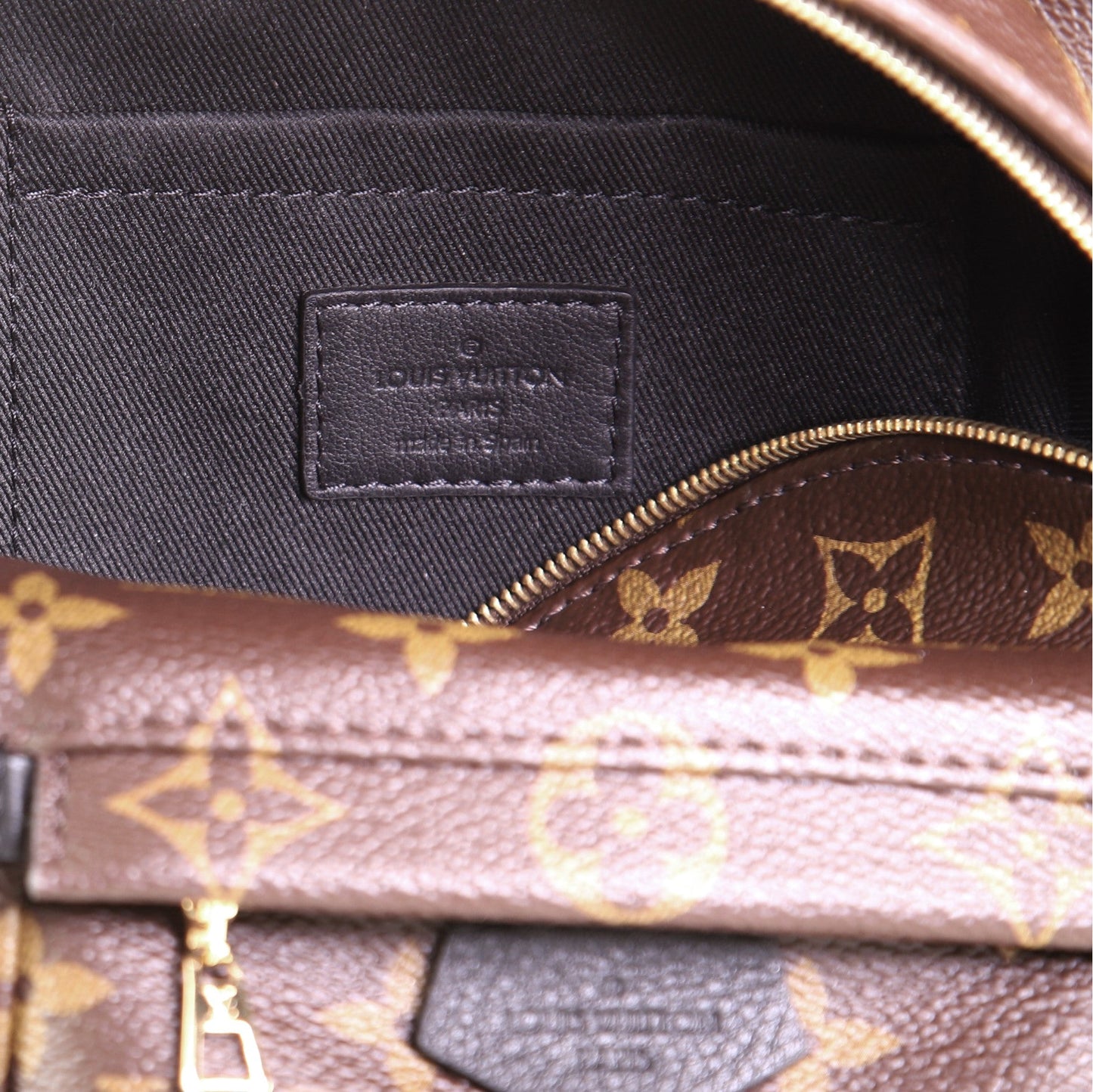 Palm Springs Backpack Monogram Canvas Mini