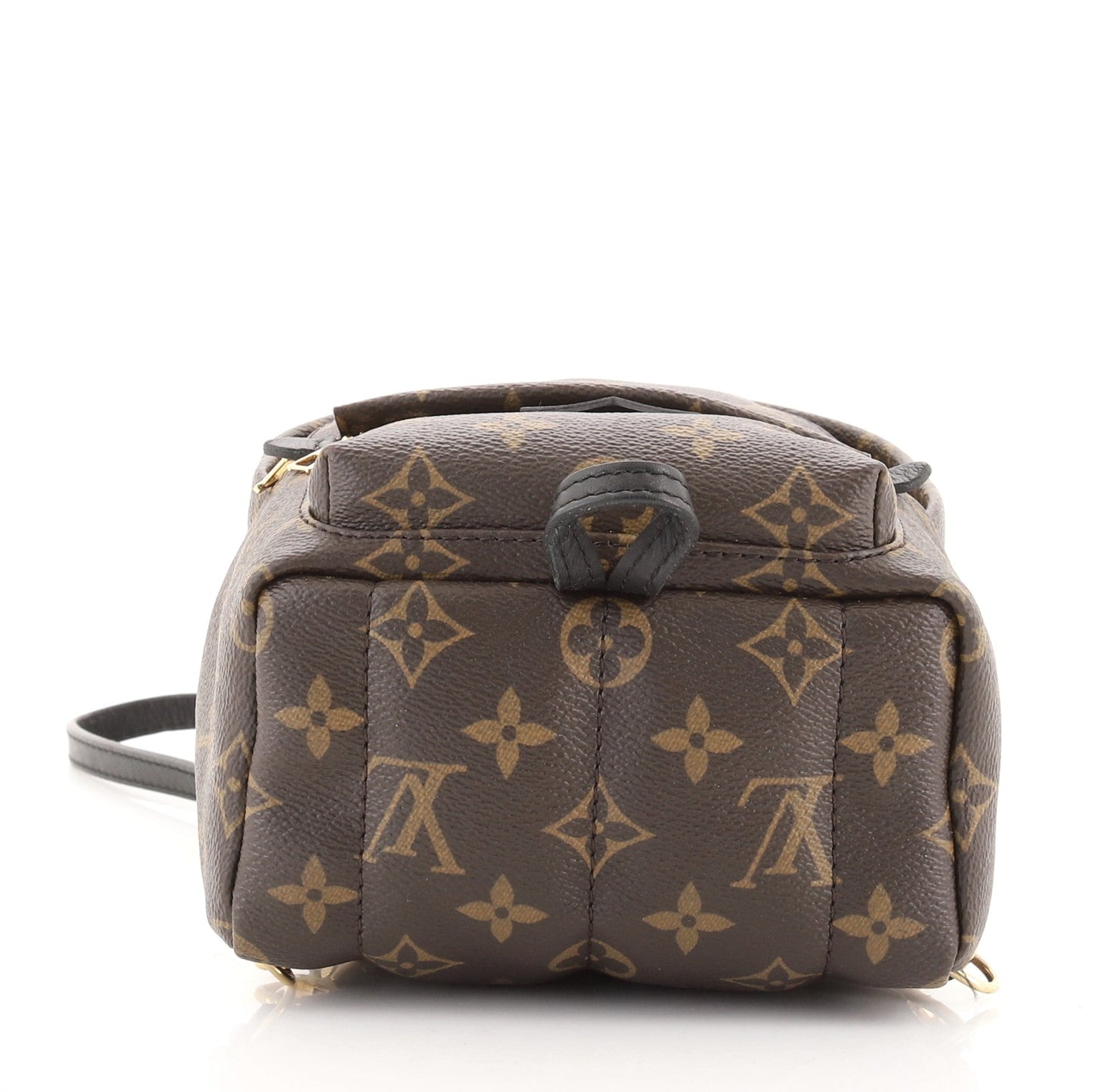 Palm Springs Backpack Monogram Canvas Mini