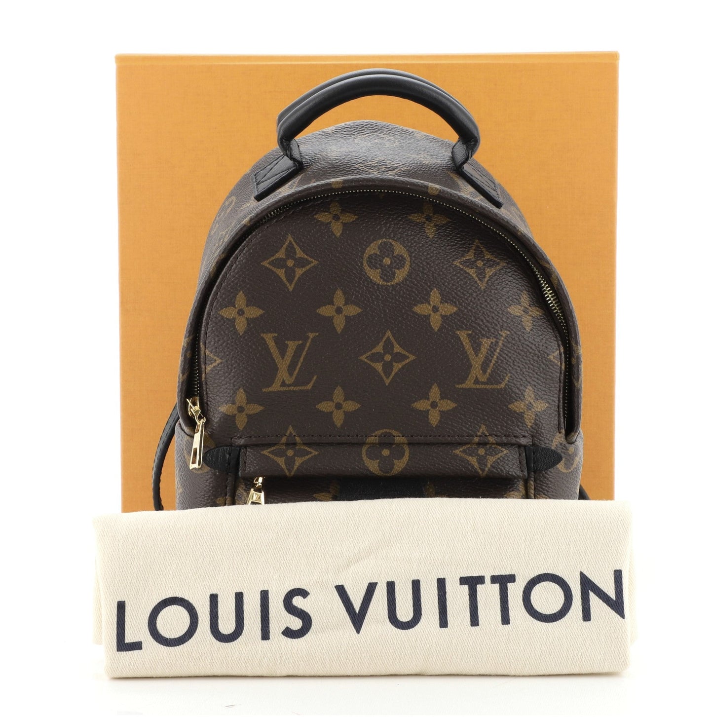 Palm Springs Backpack Monogram Canvas Mini