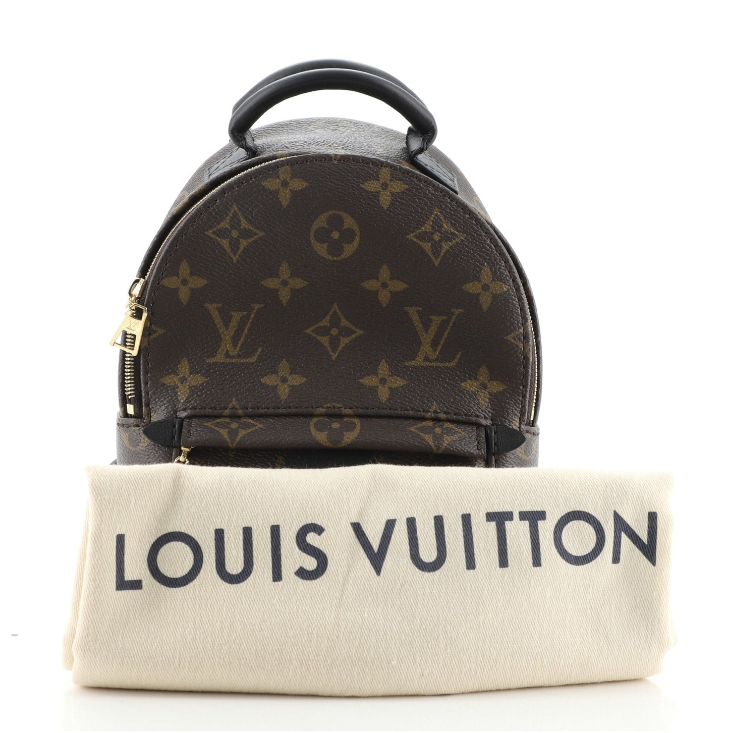 Palm Springs Backpack Monogram Canvas Mini