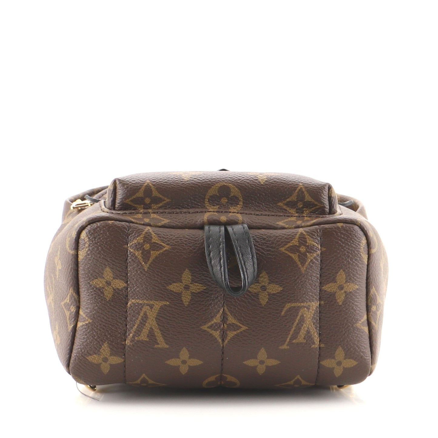 Palm Springs Backpack Monogram Canvas Mini