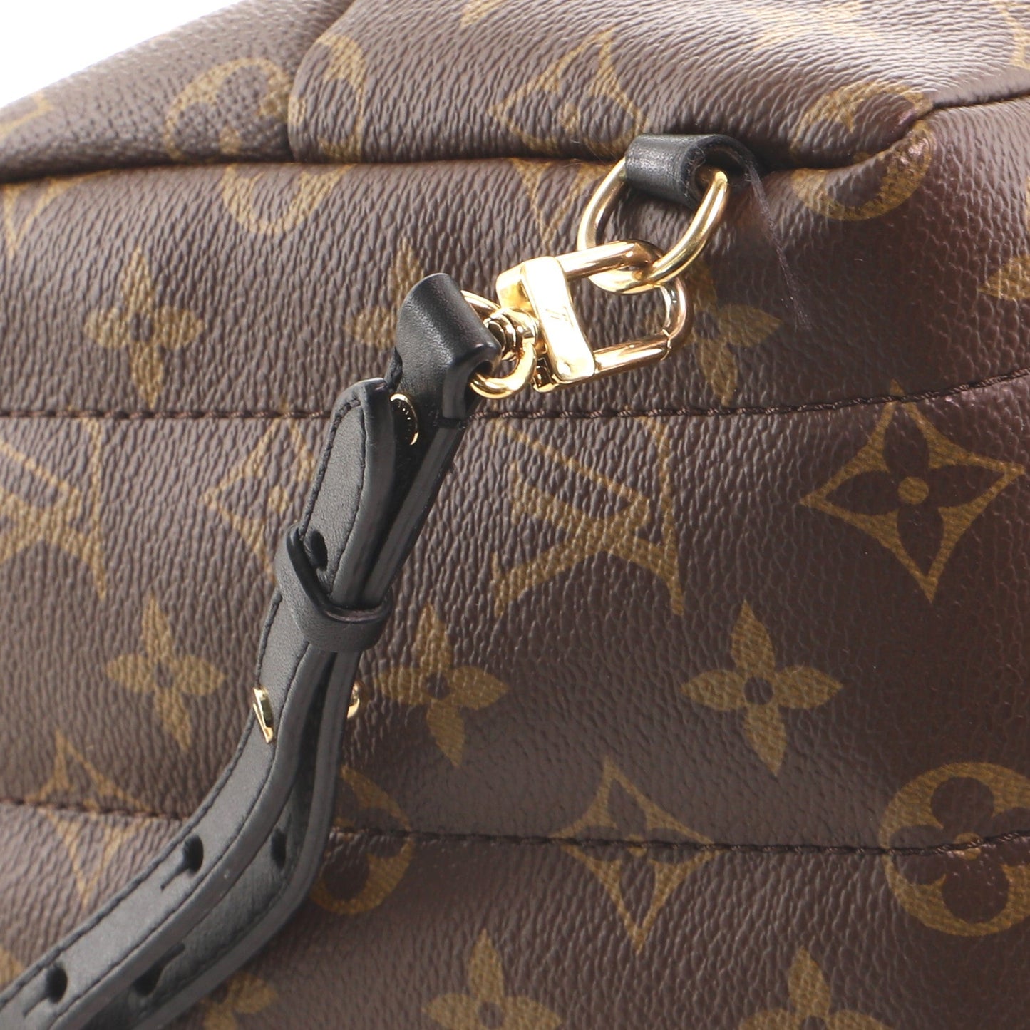 Palm Springs Backpack Monogram Canvas Mini