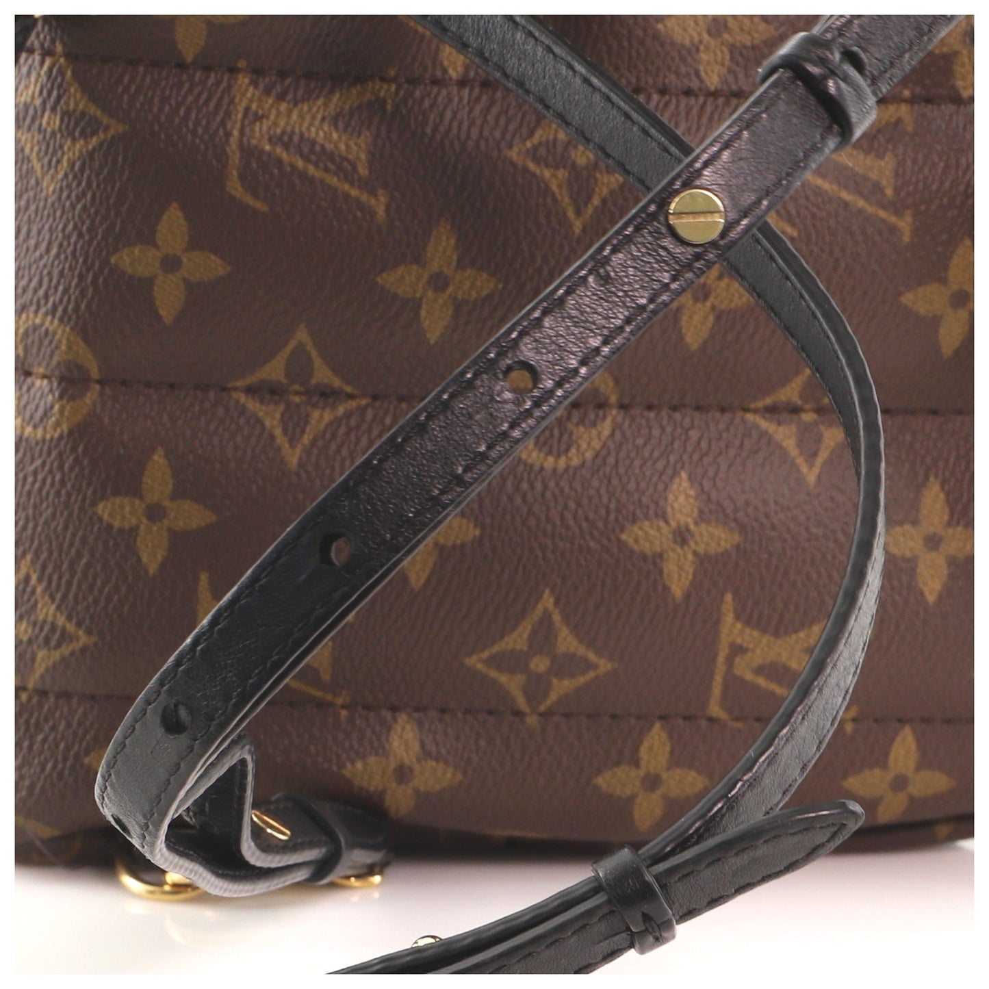 Palm Springs Backpack Monogram Canvas Mini