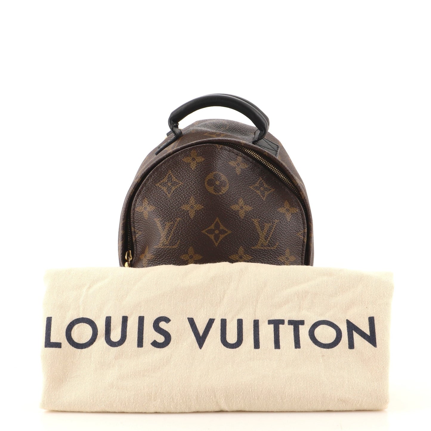Palm Springs Backpack Monogram Canvas Mini