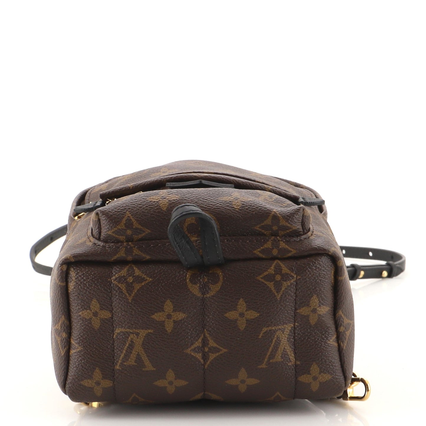 Palm Springs Backpack Monogram Canvas Mini