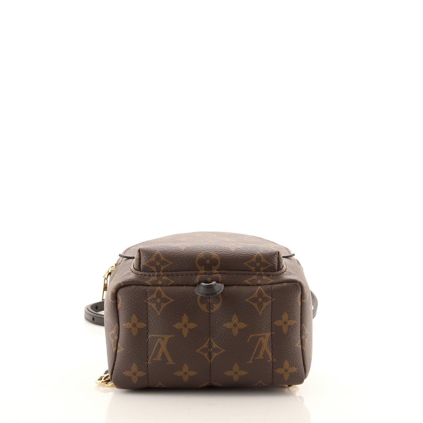 Palm Springs Backpack Monogram Canvas Mini