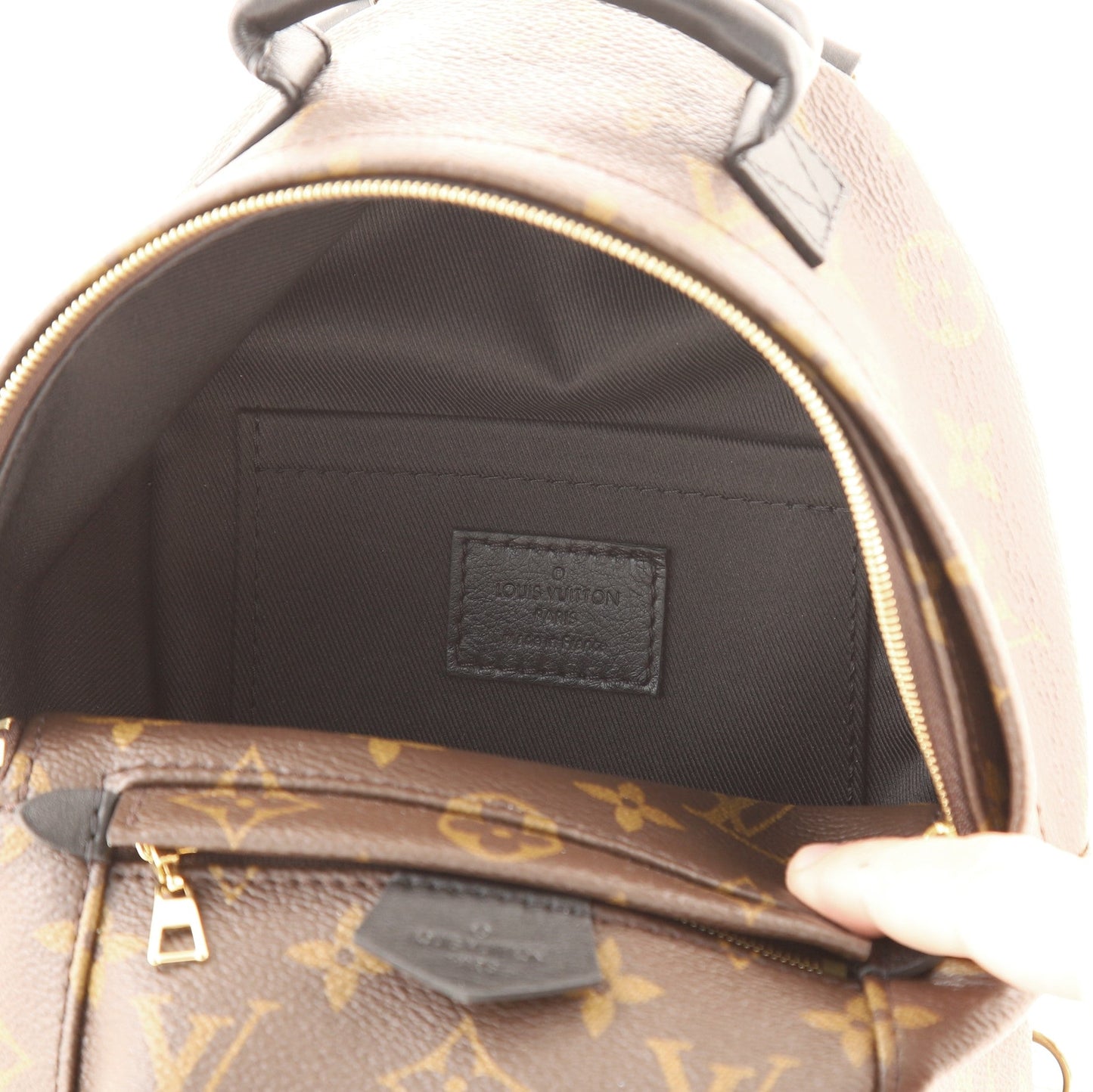 Palm Springs Backpack Monogram Canvas Mini