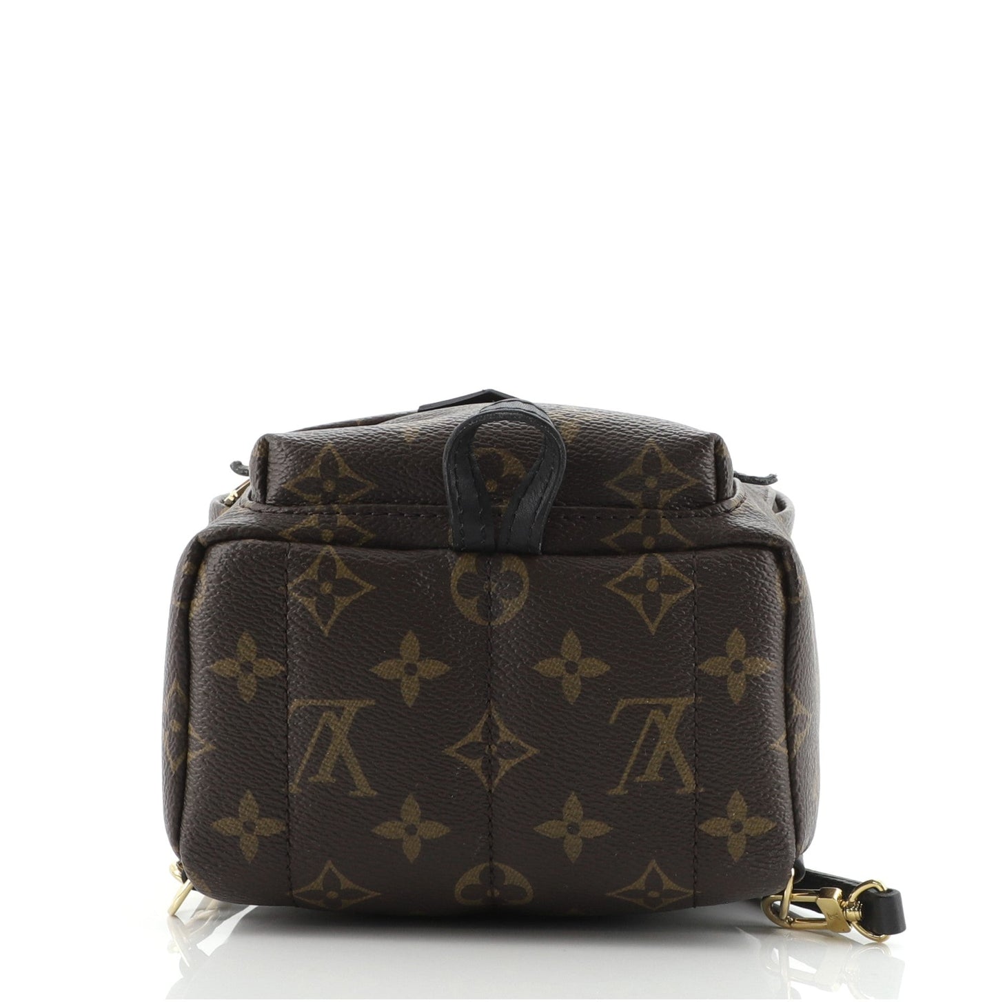 Palm Springs Backpack Monogram Canvas Mini