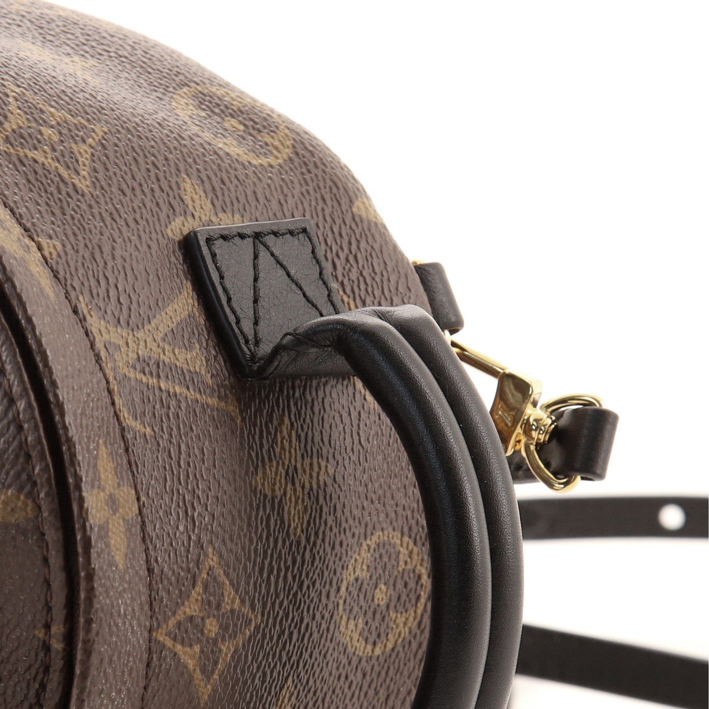Palm Springs Backpack Monogram Canvas Mini