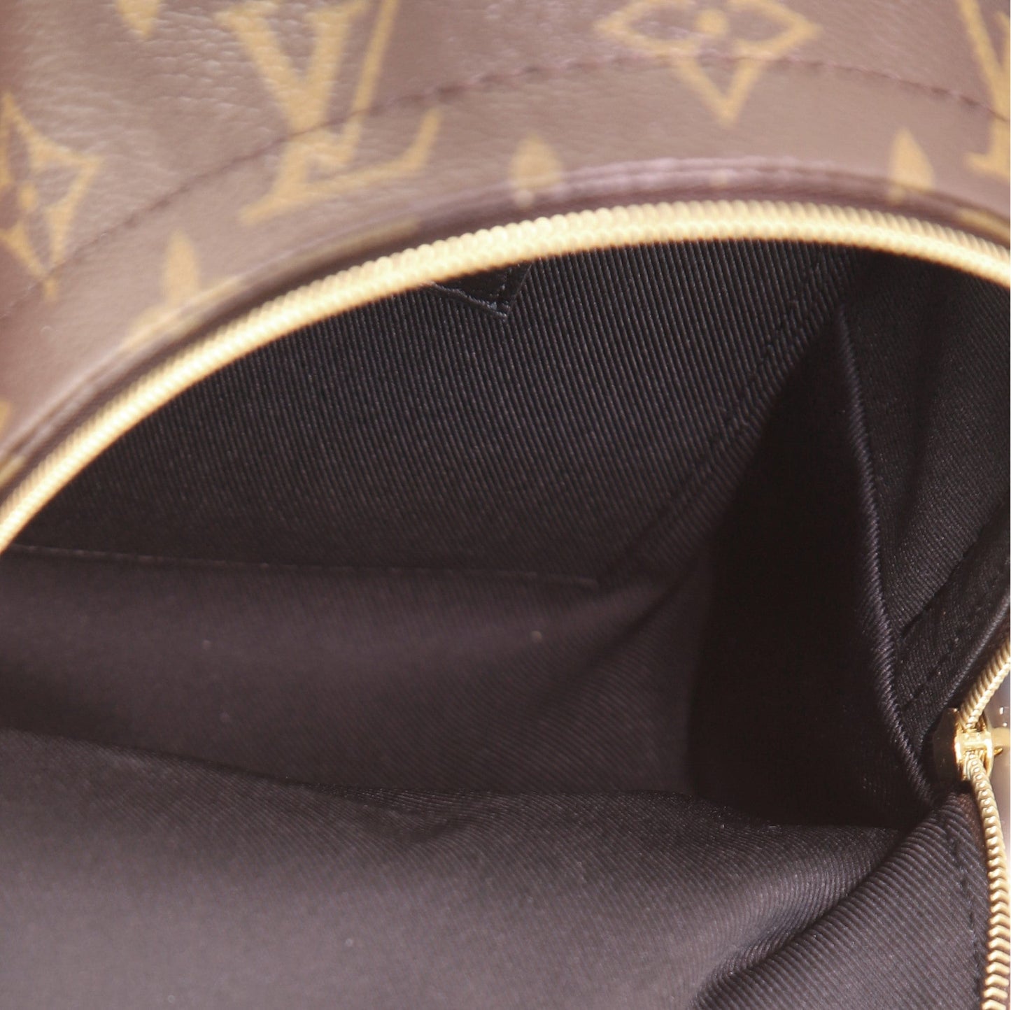 Palm Springs Backpack Monogram Canvas Mini