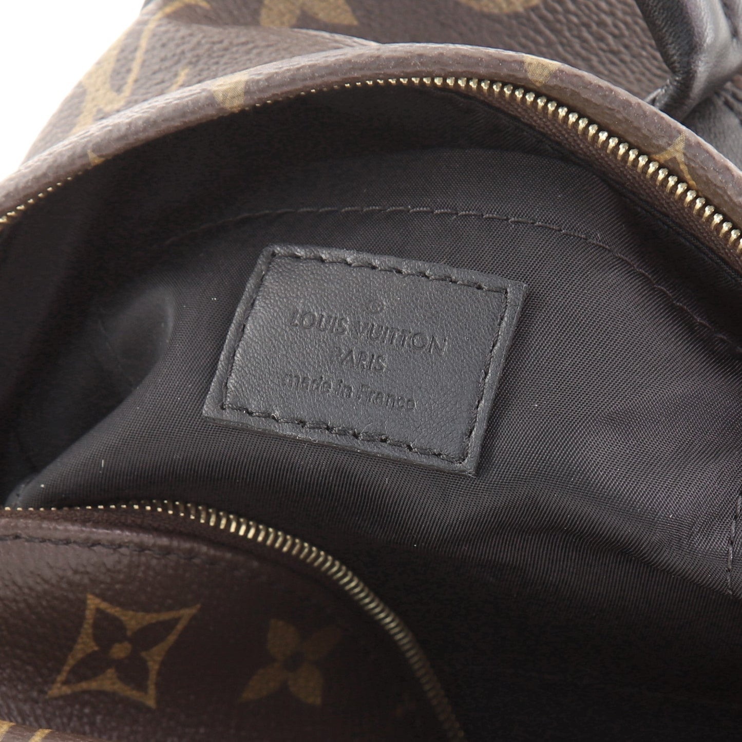 Palm Springs Backpack Monogram Canvas Mini