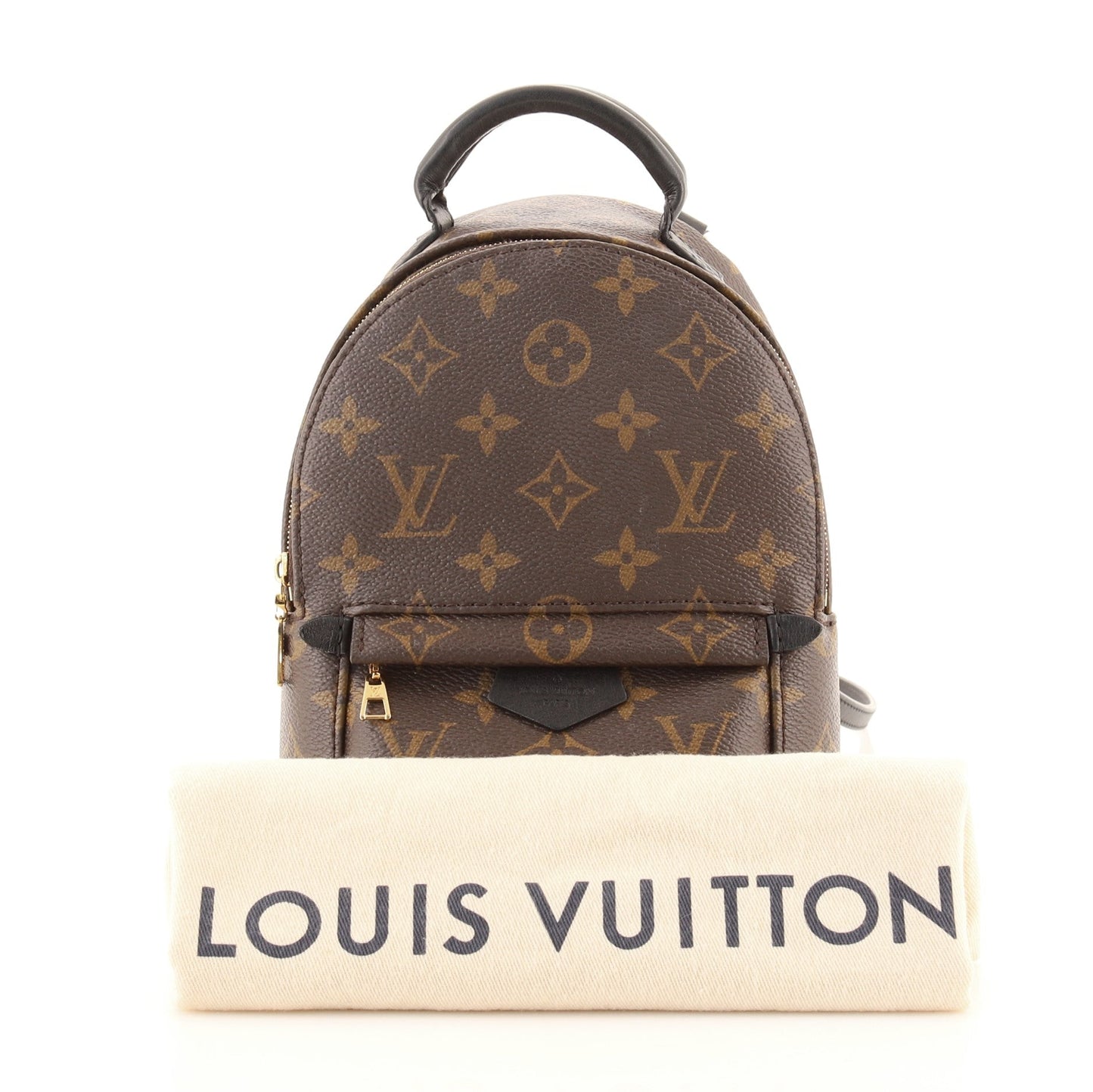 Palm Springs Backpack Monogram Canvas Mini