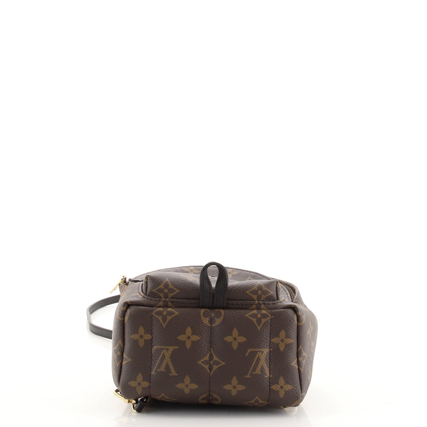 Palm Springs Backpack Monogram Canvas Mini