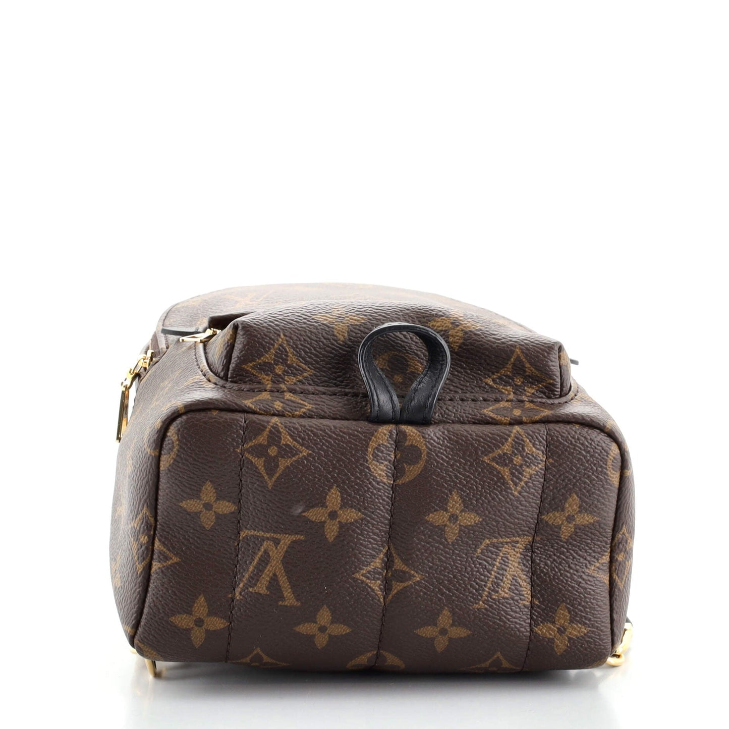Palm Springs Backpack Monogram Canvas Mini