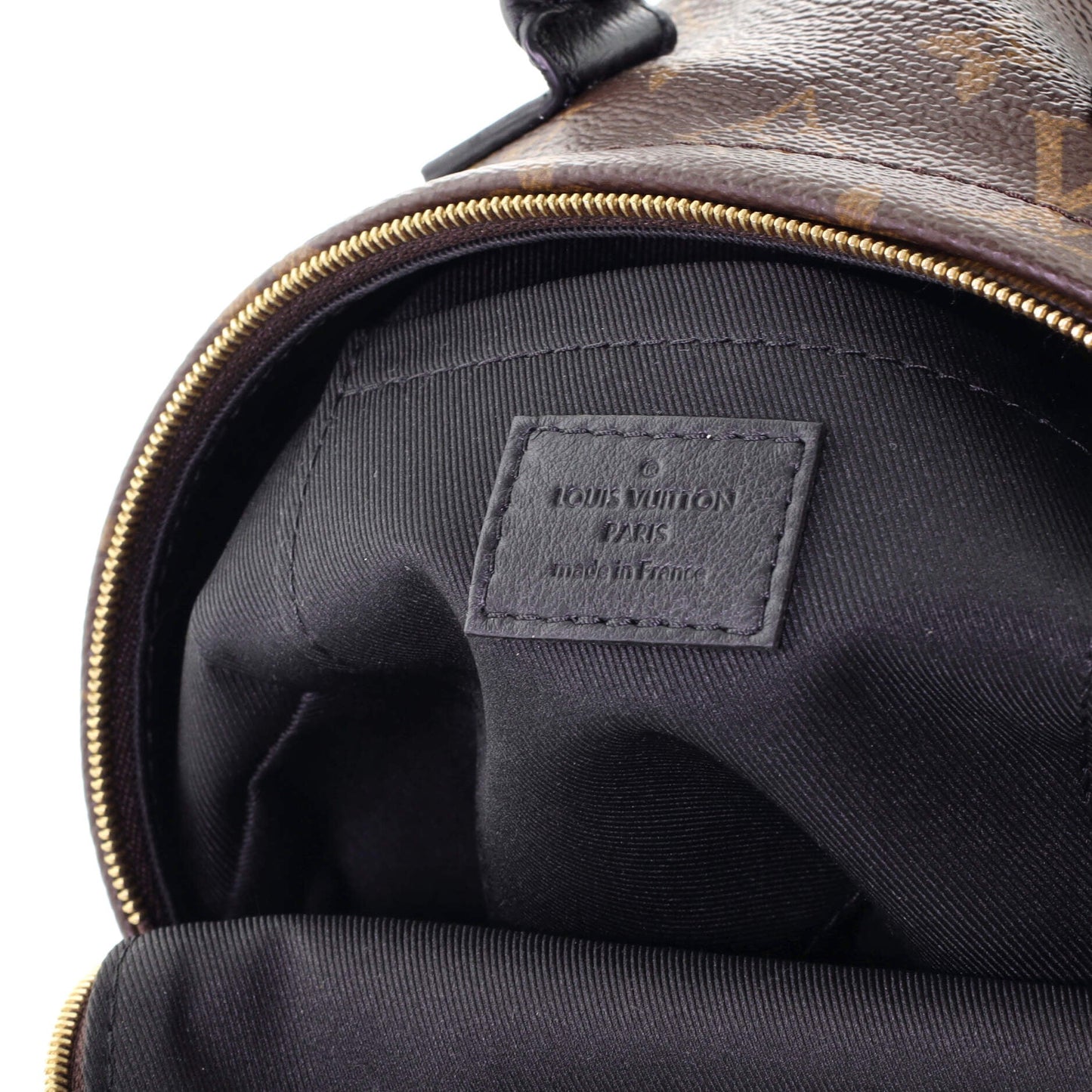 Palm Springs Backpack Monogram Canvas Mini