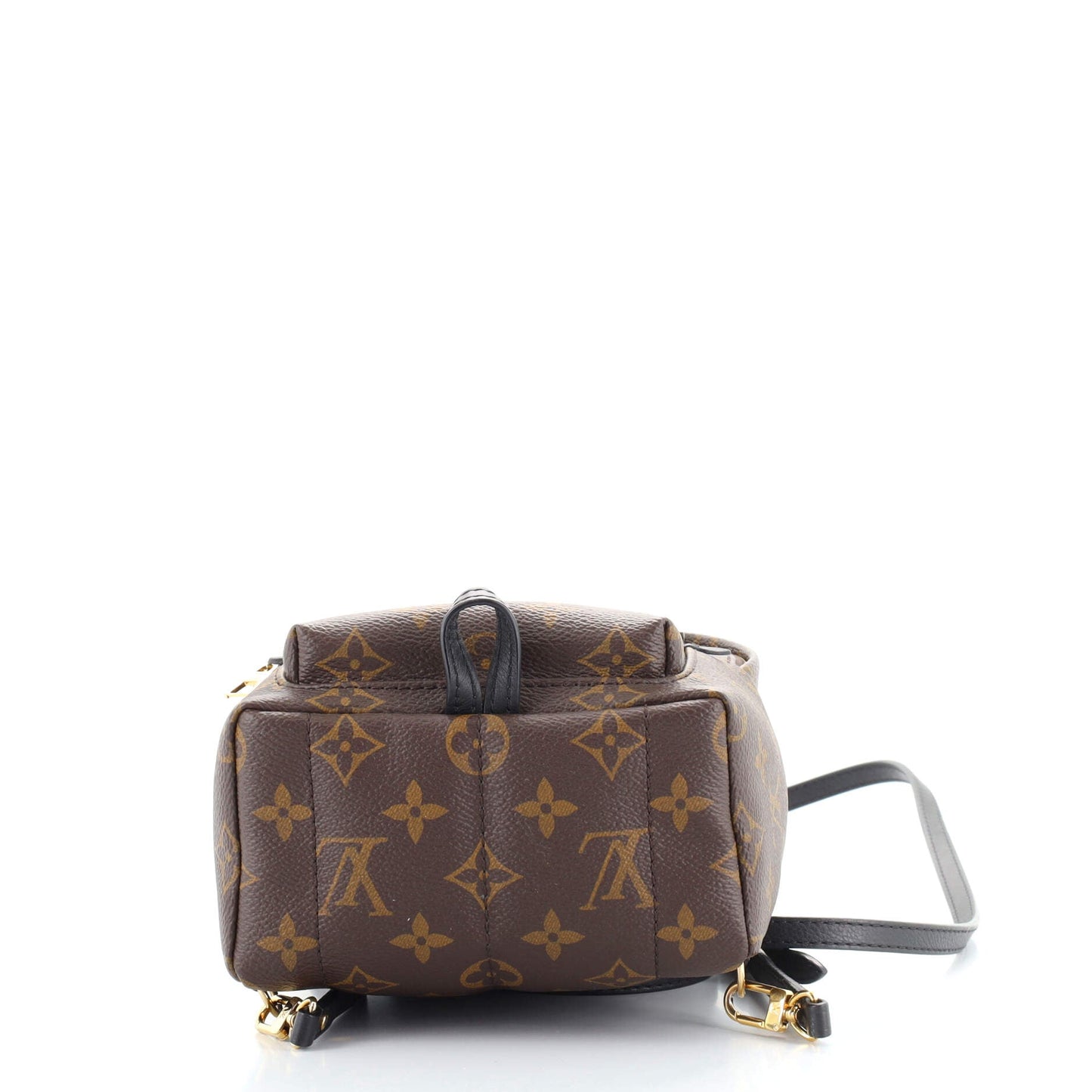 Palm Springs Backpack Monogram Canvas Mini