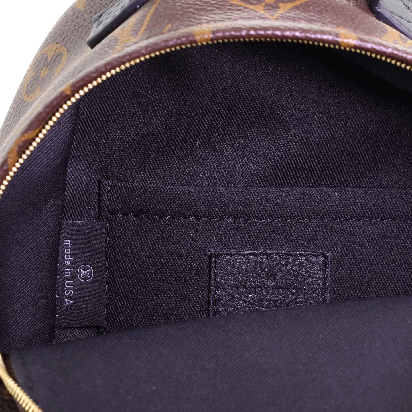 Palm Springs Backpack Monogram Canvas Mini