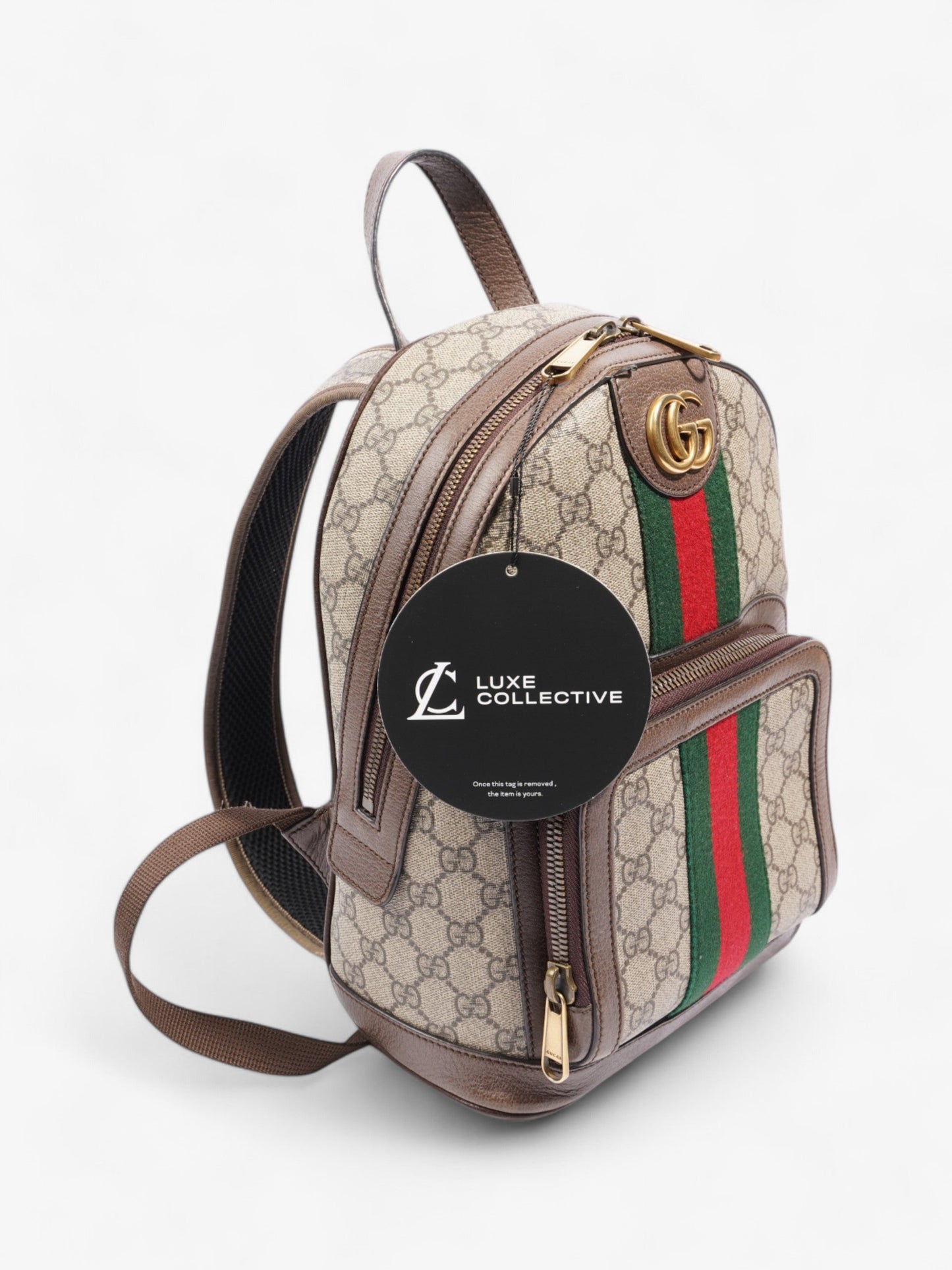 Gucci Ophidia Backpack Supreme / Green Coated Canvas Small