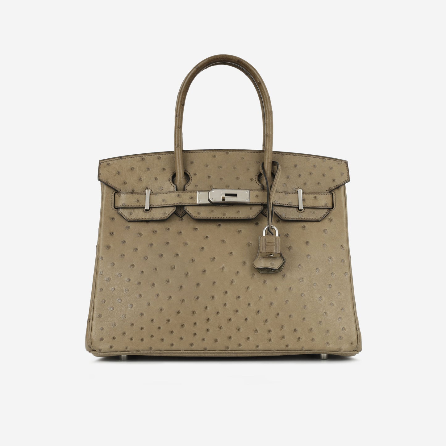 Birkin 30
