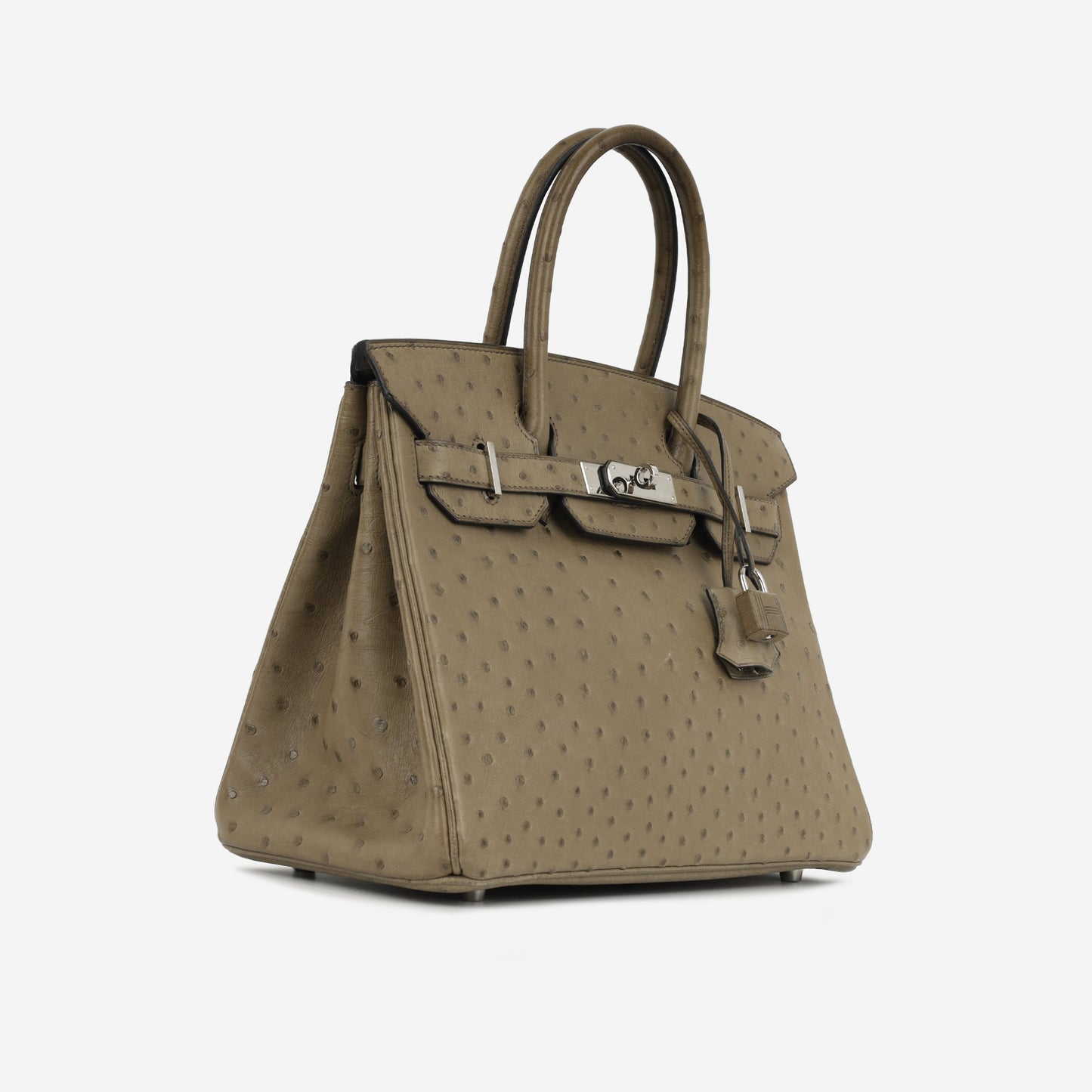 Birkin 30