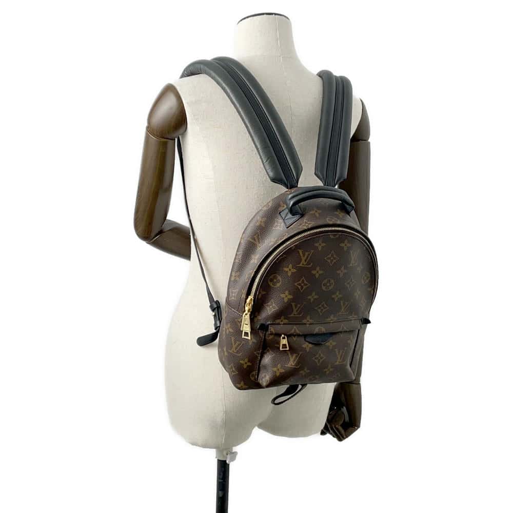LOUIS VUITTON Palm Springs Backpack NoirM44871 Monogram Size PM