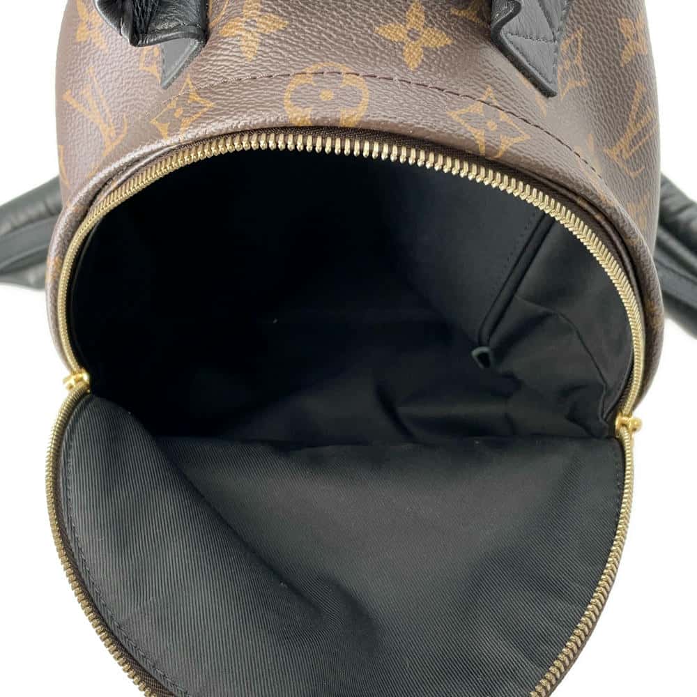 LOUIS VUITTON Palm Springs Backpack NoirM44871 Monogram Size PM