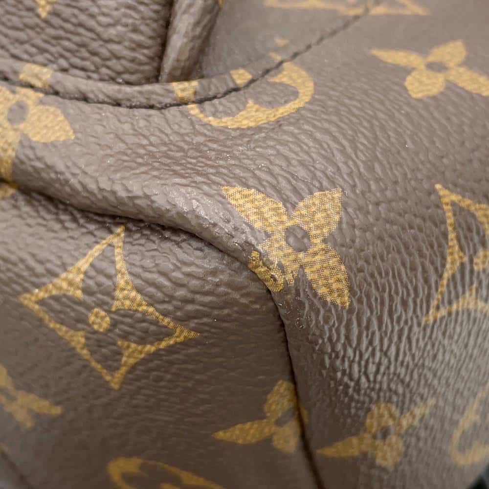 LOUIS VUITTON Palm Springs Backpack NoirM44871 Monogram Size PM