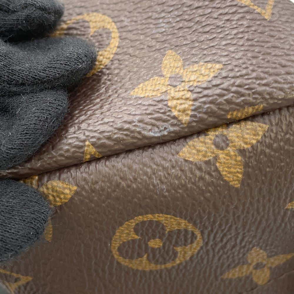 LOUIS VUITTON Palm Springs Backpack NoirM44871 Monogram Size PM
