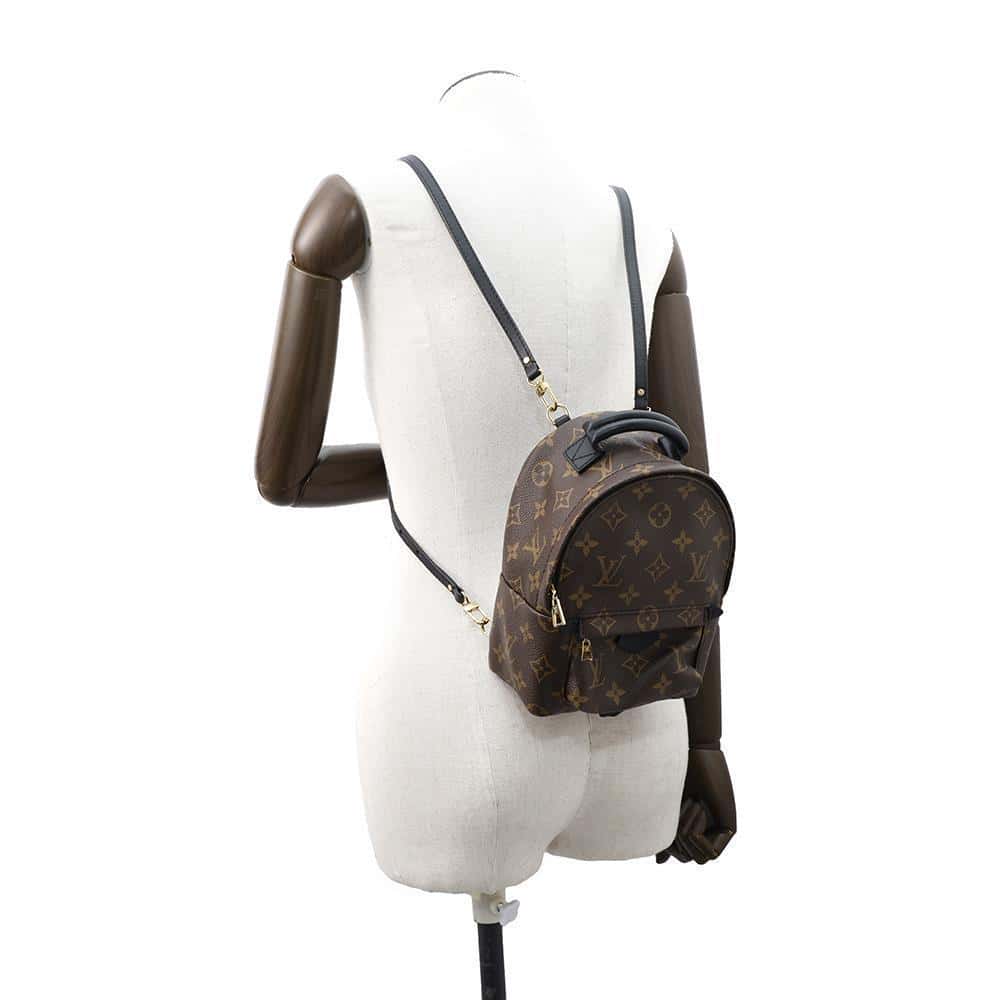 LOUIS VUITTON Palm Springs Backpack NoirM44873 Monogram Size MINI