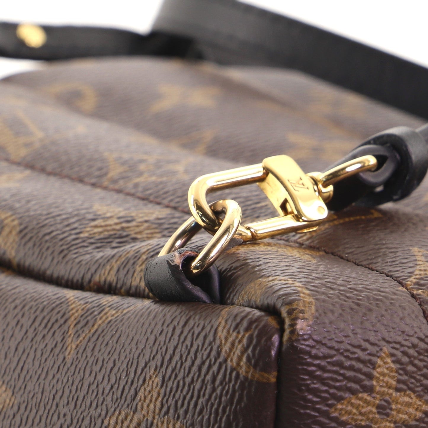 Palm Springs Backpack Monogram Canvas Mini