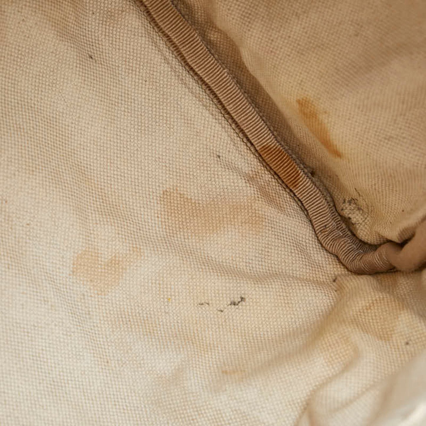 Gucci Sherry Beige Canvas Bag