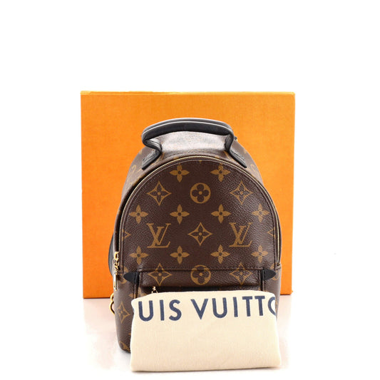 Palm Springs Backpack Monogram Canvas Mini
