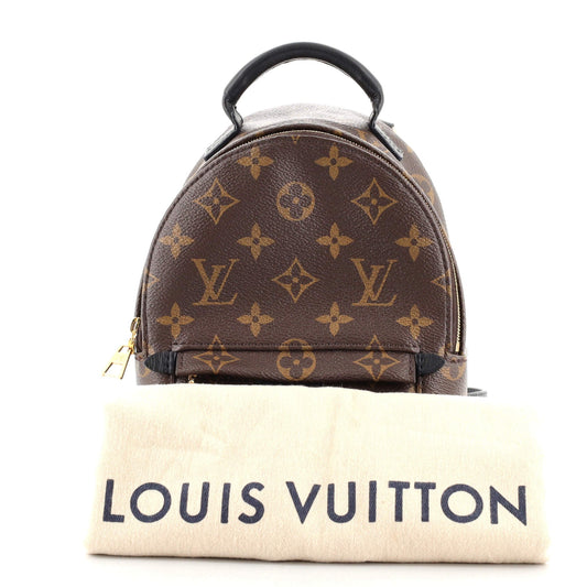 Palm Springs Backpack Monogram Canvas Mini