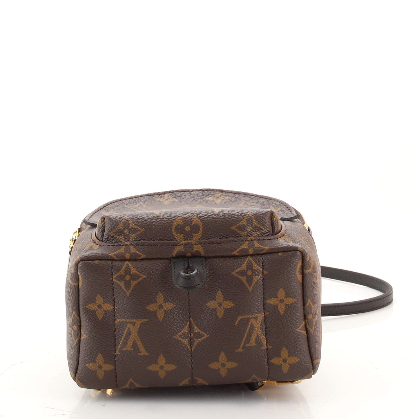 Palm Springs Backpack Monogram Canvas Mini