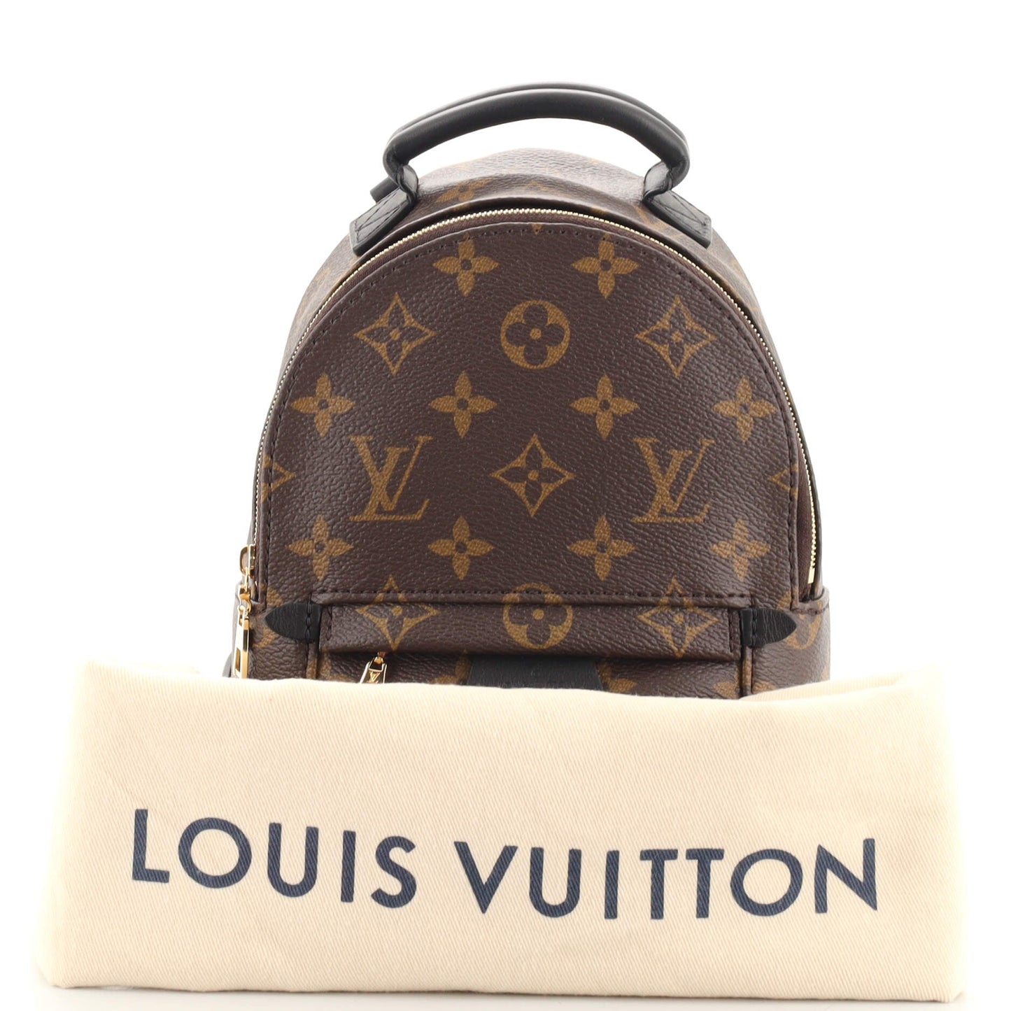 Palm Springs Backpack Monogram Canvas Mini