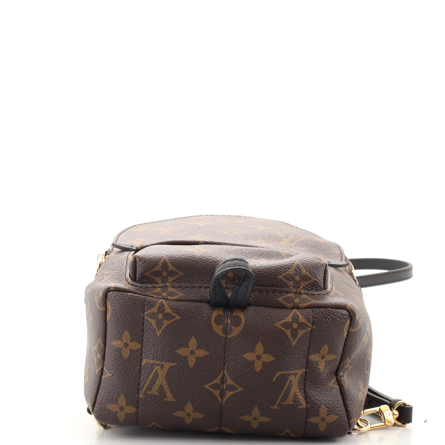 Palm Springs Backpack Monogram Canvas Mini