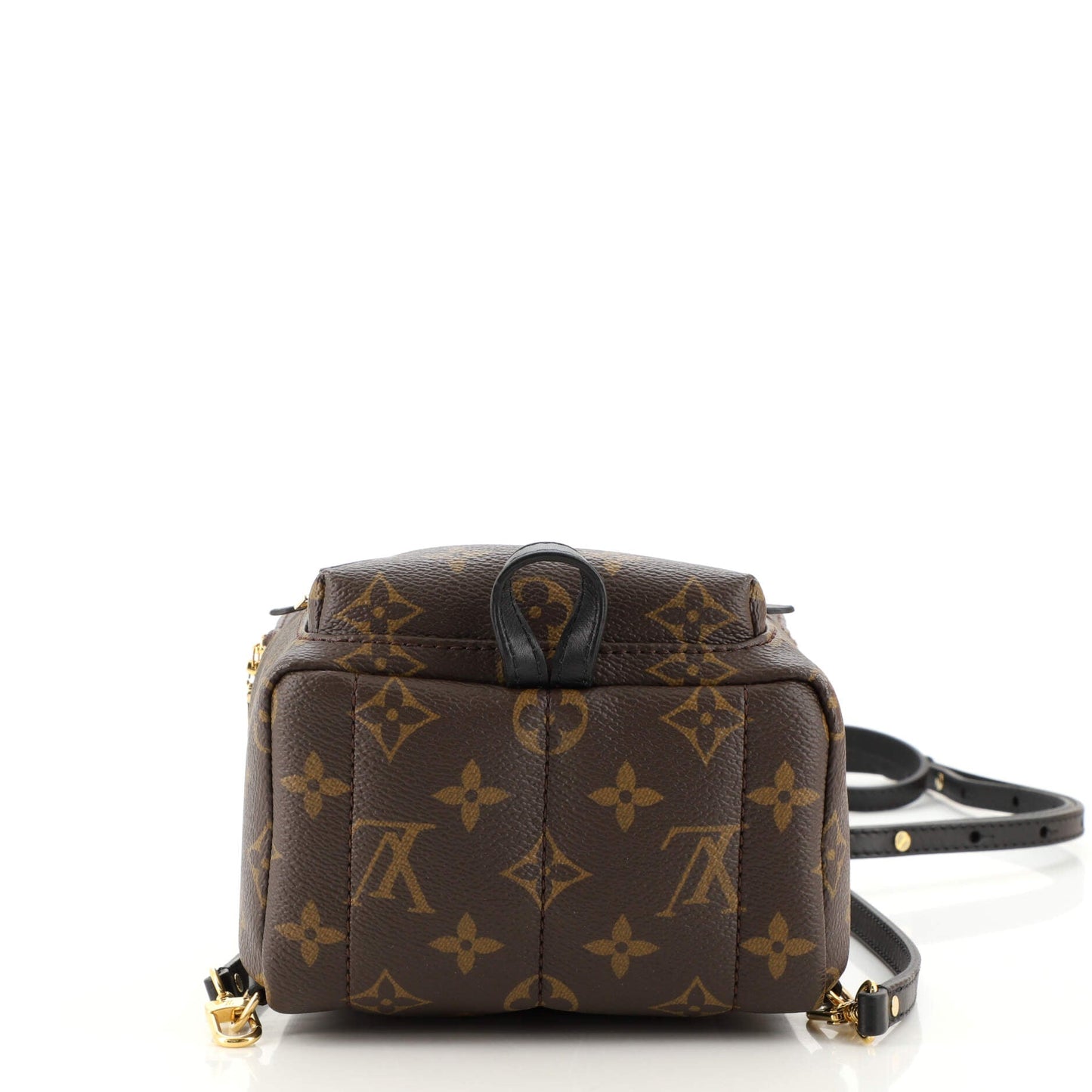 Palm Springs Backpack Monogram Canvas Mini