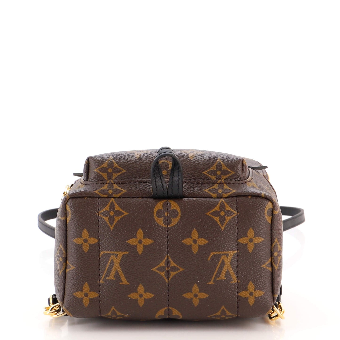 Palm Springs Backpack Monogram Canvas Mini
