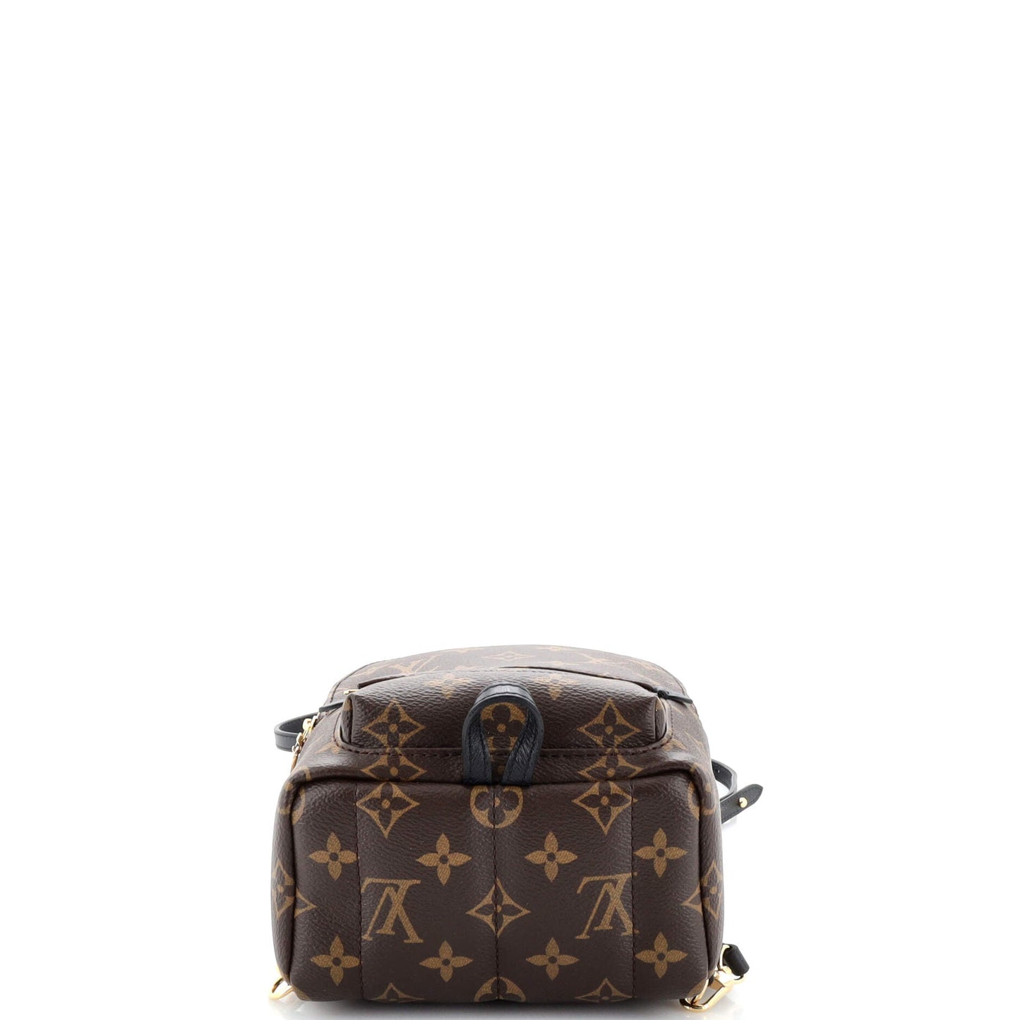 Palm Springs Backpack Monogram Canvas Mini