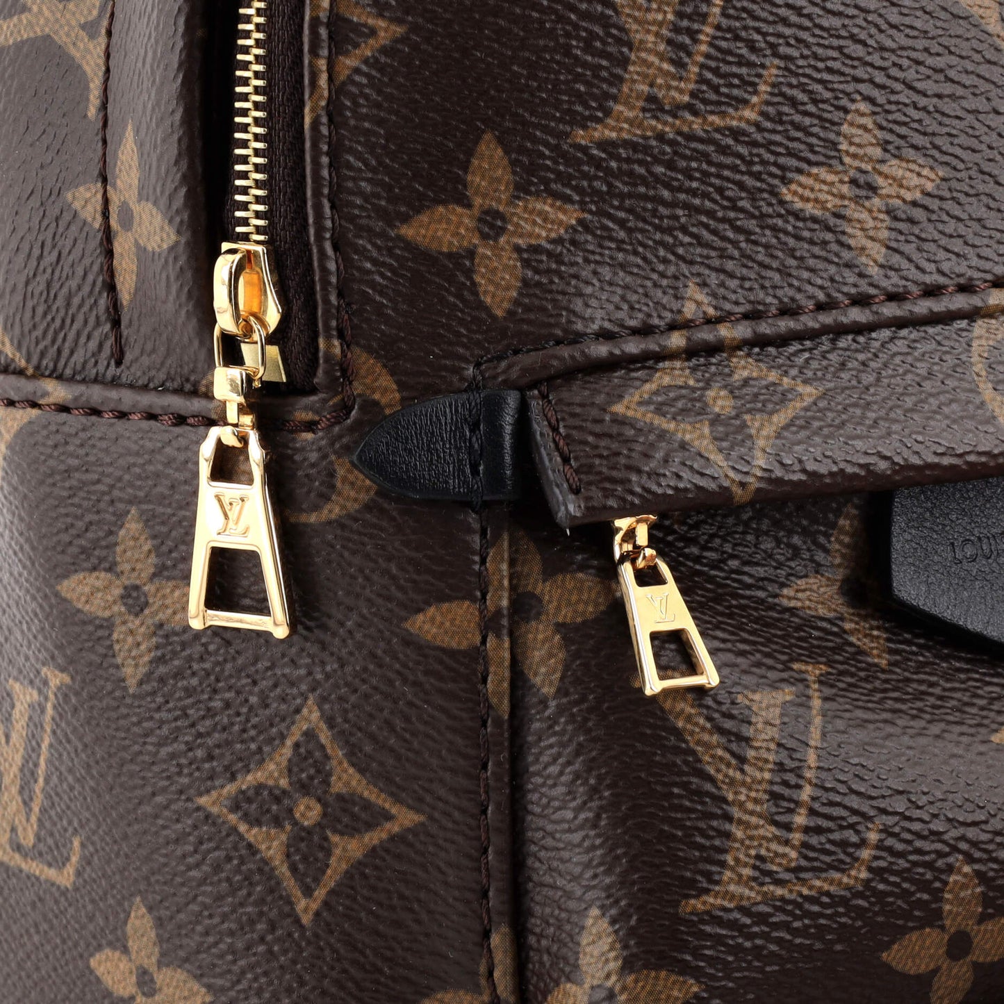 Palm Springs Backpack Monogram Canvas Mini